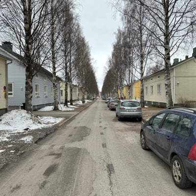 Karjakadulla olevia asuinrakennuksia Oulun Puu-Raksilassa.