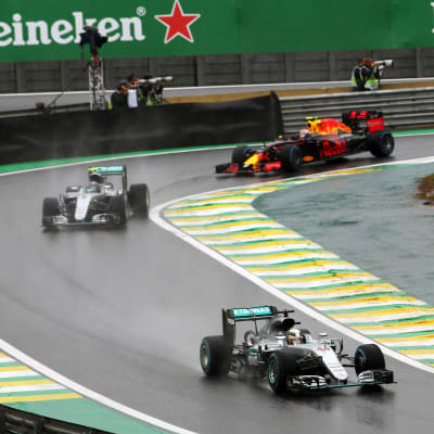 Lewis Hamilton, Nico Rosberg och Max Verstappen i Brasilien.