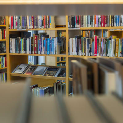 Kirjoja kirjastossa. 