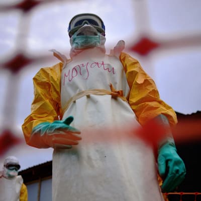 Medecins Sans Frontieres (MSF) medical staff wearing protective clothing treat the body of an Ebola victim at their facility in Kailahun, on August 14, 2014. Kailahun along with the Kenema district is at the epicentre of the worst epidemic of Ebola since