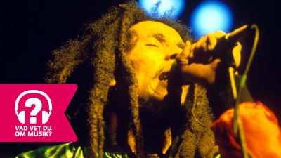 Bob Marley sjunger i en mikrofon.