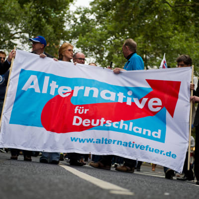 Anhängare till högerpopulistpartiet i Tyskland AfD bär på en banderoll