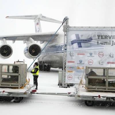 Pandorna Lumi och Pyry anländer till Finland. 