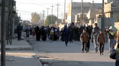IS använder tiotusentals civila som mänskliga sköldar i Mosul enligt FN. Dessa civila är på väg till ett flyktingläger från de södra utkanterna av Mosul som har intagits av regeringsstyrkor