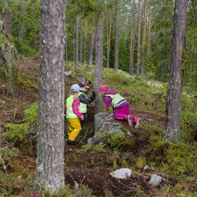 lapset metsässä