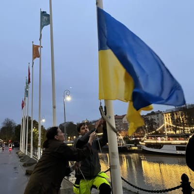 Turun pormestari Minna Arve nostaa Ukrainan lippua salkoon Aurajoen rannassa.