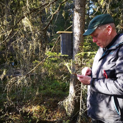 Kälviälänen lintuharrastaja ja partioryhmän vetäjä Jukka Mansikkamäki lataa koordinaatteja vanhaan metsään laitetulle pöntölle.