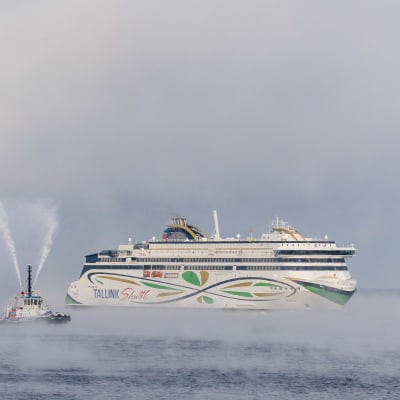 Tallink-kirjauksella varustettu laiva saapuu satamaan perinteisen vesitykkitervehdyksen saattamana.