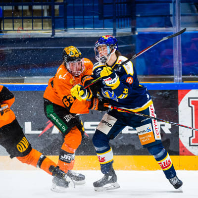 Kouvolan Kookoo ja Mikkelin Jukurit vääntävät vastakkain.
