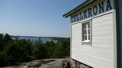 Gullkron i Åbolands skärgård.