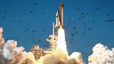 Rymdfärjan Challenger startar från Cape Canaveral den 28 januari 1986. Strax efter starten exploderar den.