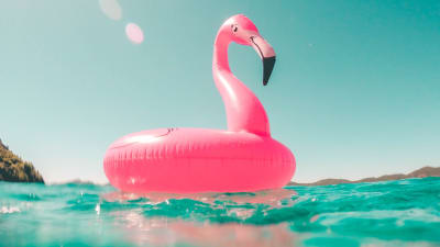 En uppblåsbar flamingo i vatten.