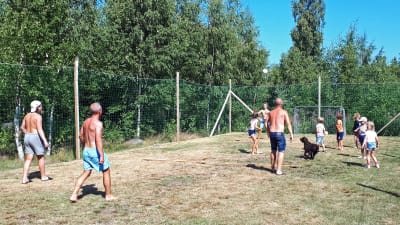 Kodda vid Hanséns villa i Sundom.