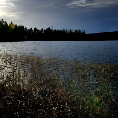Höstligt landskap vid sjön Huhkojärvi i Keuru, Finland. 