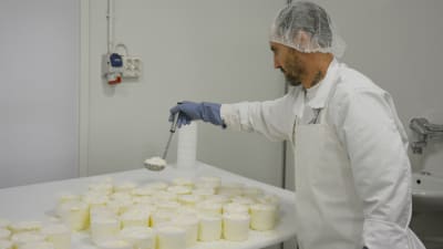 Ostmästare Thierry Jung tillverkar crotin-ost vid Fiskarsin Juustola
