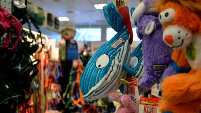 Ett leksaksdjur i form av en val på en hylla i en butik.