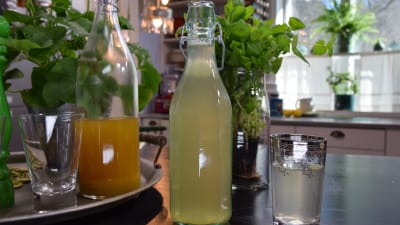 Alkoholfri örtinfusion i ett glas på ett bord