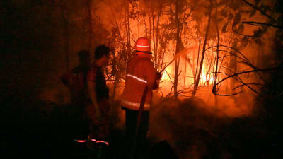 Brandmän jobbar med släckning av bränder i Indonesien. 