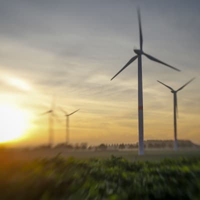 Vindkraftspark i Gembloux i Belgien