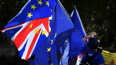 Brexitiä vastaan mieltään osoittavia ihmisiä Lontoon parlamenttitalon ulkopuolella 29. elokuuta 2019.