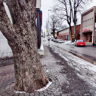 En snöig gata med ett träd som växer på trottoaren.