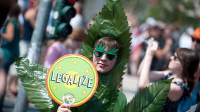 Legaliseringen av cannabis väcker känslor. Både för och emot.