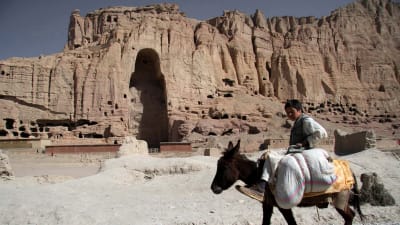 En afghansk pojke som rider på en åsna passerar Bamiyan där en av de enorma Buddha-statyerna stod innan de förstördes 2001.