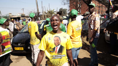 Regeringspartiet Zanu-PF:s anhängare jublade efter författningsdomstolens beslut i fredags