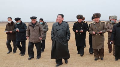 Den 28 januari publicerade KCNA den här bilden på Nordkoreas ledare Kim Jong-Un ( i mitten) då han inspekterar en plats där det ska byggas stora växthus för grönsaksodling .