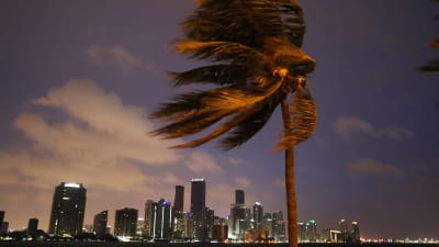 Orkanen Irma drar in över Miami, Florida den 9 september 2017.