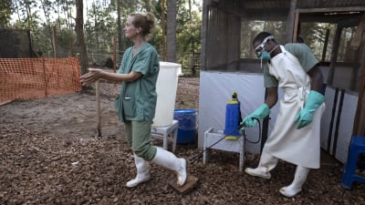 Anna Sjöblom desificerar sina skor under kampen mot ebola i Afrika. 