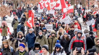 Demonstranter som protesterar mot coronarestriktioner samlas i en park i Kanadas största stad Toronto.