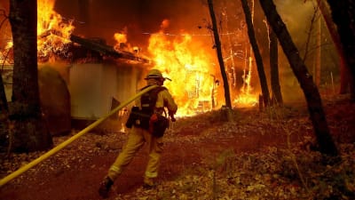 Kalifornisk brandman med lång slang närmar sig brinnande hus.