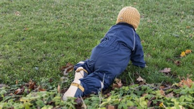 Pieni lapsi konttaa syksyisellä nurmikolla selkä kameraan päin.