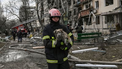 En brandman med en hund i famnen framför ett halvt raserat hus.