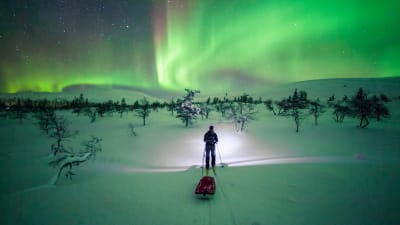 Antti Pietikäisen valokuva miehestä ahkiolla.
