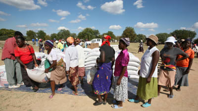 Människor i Harare, Zimbabwe, köar för WFP:s mathjälp i form av majsmjöl.