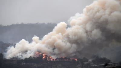 Rökmoln i Eden i New South Wales 6.1.2020