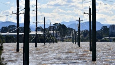 Elstolpar som sticker upp ur vattnet i ett översvämmat område i Windsor i Australien