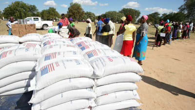 Människor köar för FN-organisationen WFP:s mathjälp i Mwnenzi, Zimbabwe.