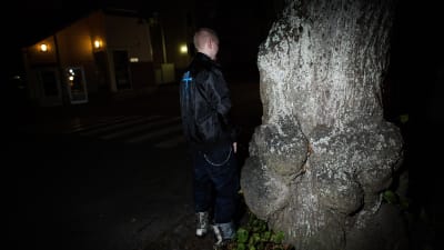 Sami Heinonen står och kissar mot ett träd.