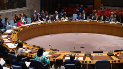FN:s säkerhetsråd samlat den 22 augusti 2019.