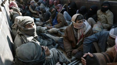 Män som lämnade IS sista fäste i Syrien och togs tillfånga sitter på ett lastbilsflak.