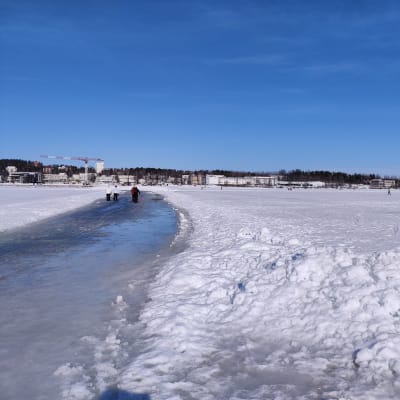 Kuopion jäämaratonin luistinrata Matkustajasataman edustalla.
