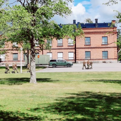 Beväringar går utanför en kasern.