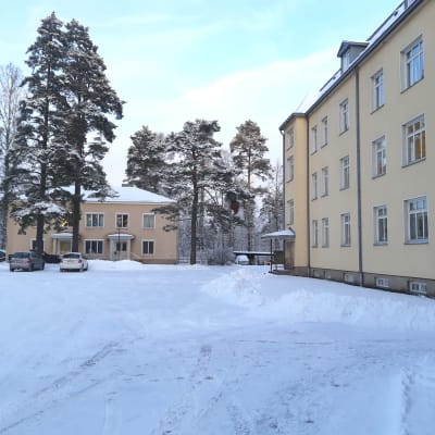 Två gula fastigheter.