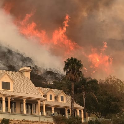 Flammor från en moteld som anlagts för att bekämpa en markbrand i Santa Barbara County.