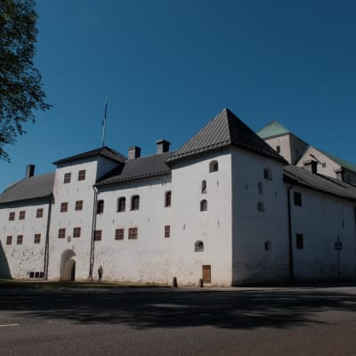 Åbo slott. 
