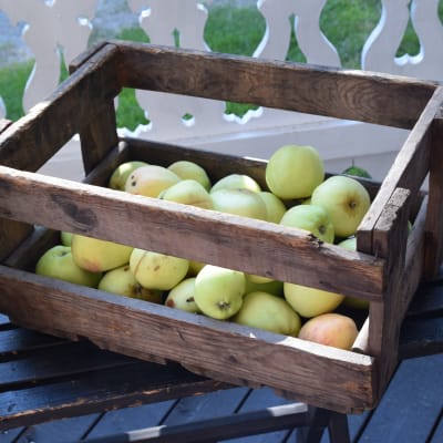 Äppel i en trälåda på en bänk