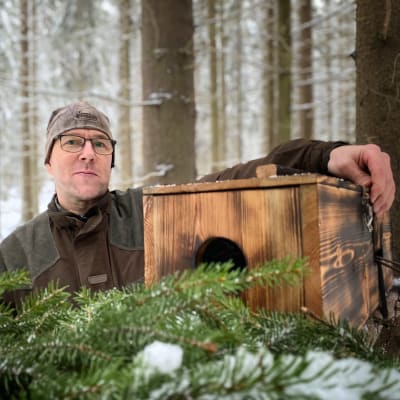 Suomen metsästäjäliiton hankevastaava Petri Passila nojaa puiseen ansalaatikkoon metsässä. 